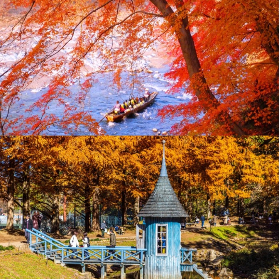 東京近郊首選！埼玉縣5大秋季必訪景點，埼玉縣物產觀光協會邀台人體驗不一樣的深度秋日本之旅