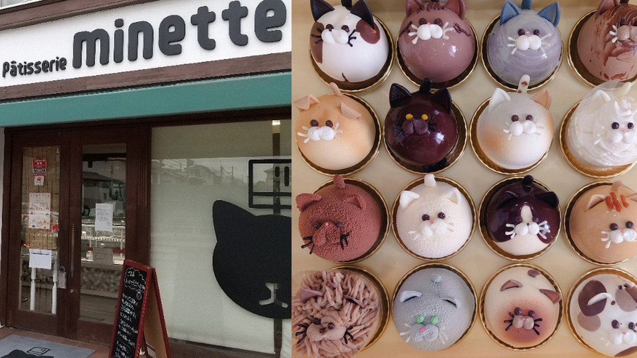 貓控與甜點控的夢幻樂園，兵庫西宮甜點店「Patisserie minette」