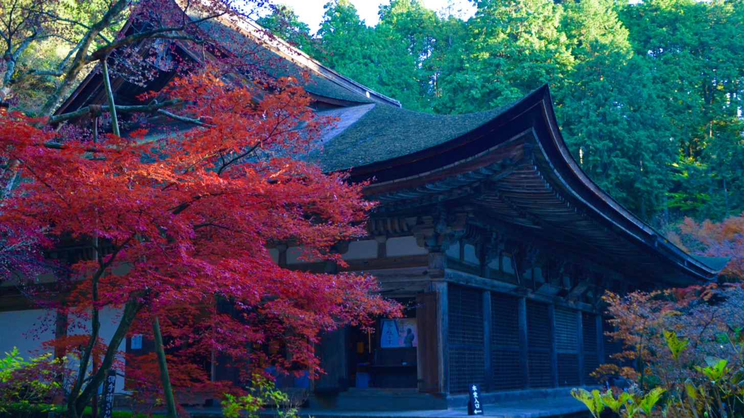 大自然派必見！滋賀縣必去──琵琶湖「湖東三山」 鬱鬱蔥蔥！四季來玩 