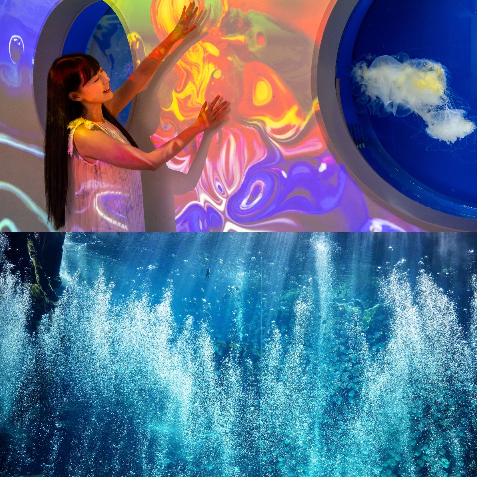 Xpark五週年了！超人氣沉浸式展覽《Xpark meets NAKED～Ocean of Light 潛浸海洋》登場