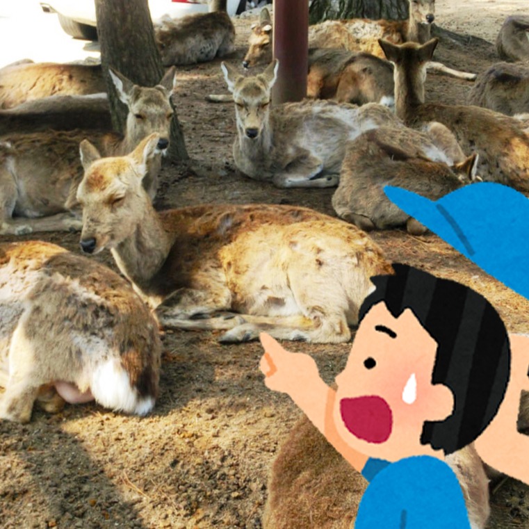 一講這個就知道是日本哪個縣!各地縣民猜猜樂:說到危險駕駛就想到名古屋?