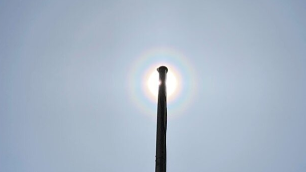 日本關東地區可見「花粉光環」！快樂旅日同時需也要注意花粉症喔