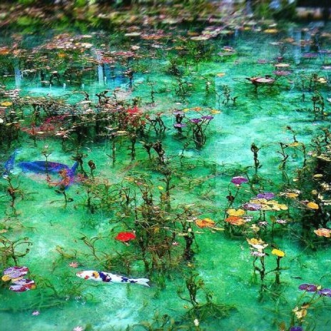 岐阜縣必去秘境！根道神社的莫內之池：宛如莫內「睡蓮」般絕美池塘就在這裡