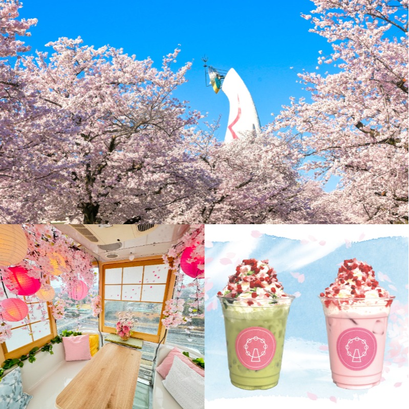 大阪萬博紀念公園「SAKURA EXPO 2025」3月20日登場!  漫步櫻花大道賞夜櫻、搭上日本最高摩天輪被櫻花包圍