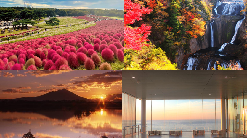 茨城推薦必去景點10選介紹！波波草、能量景點、金色鳥居一次看