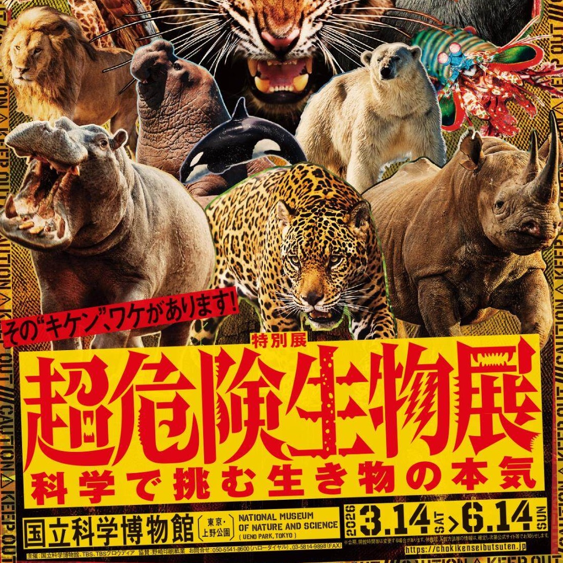 超危險生物展：走進東京上野國立科學博物館，從科學視角探索生物的生存極限