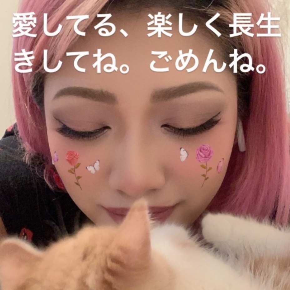 《雙層公寓》木村花之死的反動！日本表決通過侮辱罪嚴罰化改革案