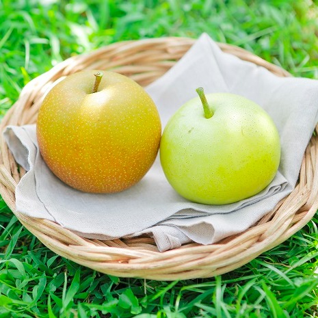 中秋送禮不送月餅？今年改送夢幻水梨如何？送鳥取縣產地直送的「新甘泉梨＆二十世紀梨」讓大家開心！