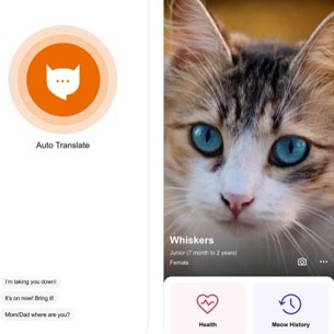 推特話題「MeowTalk貓語翻譯機」想知道主子在說什麼的貓奴一定要下載！