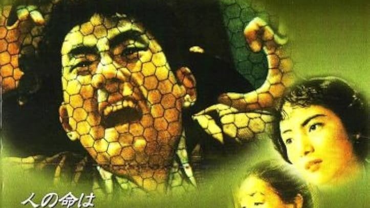 警方錯誤的推斷將四人帶進入深淵！日本著名冤案「八海事件」