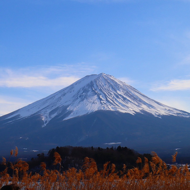 今天只有這個縣的學生放假？2月23日富士山之日，一起來眺望富士山吧！