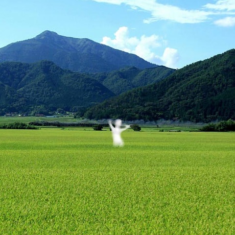 在田野出現的話絕對不能仔細去看！讓人聞風喪膽的日本都市傳說「扭來扭去」