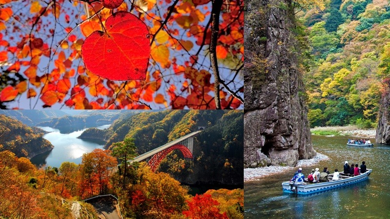 在地人才知道的廣島秋季必訪景點9選！火紅楓葉、心形紅葉、金黃銀杏美到令人窒息