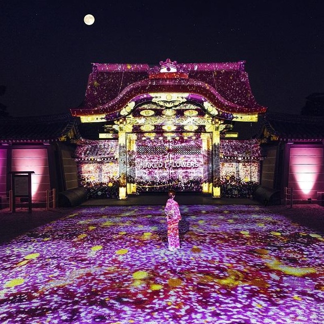 充滿古都魅力的賞櫻勝地三選一次收！ 從早到晚享京都不同的春櫻風情