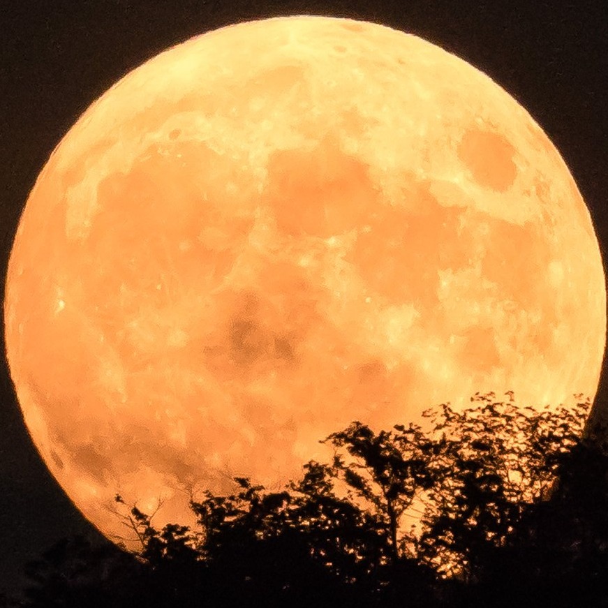 日本賞月天文台十選！仰望星月的浪漫旅程，透過望遠鏡看見不一樣的月亮之美