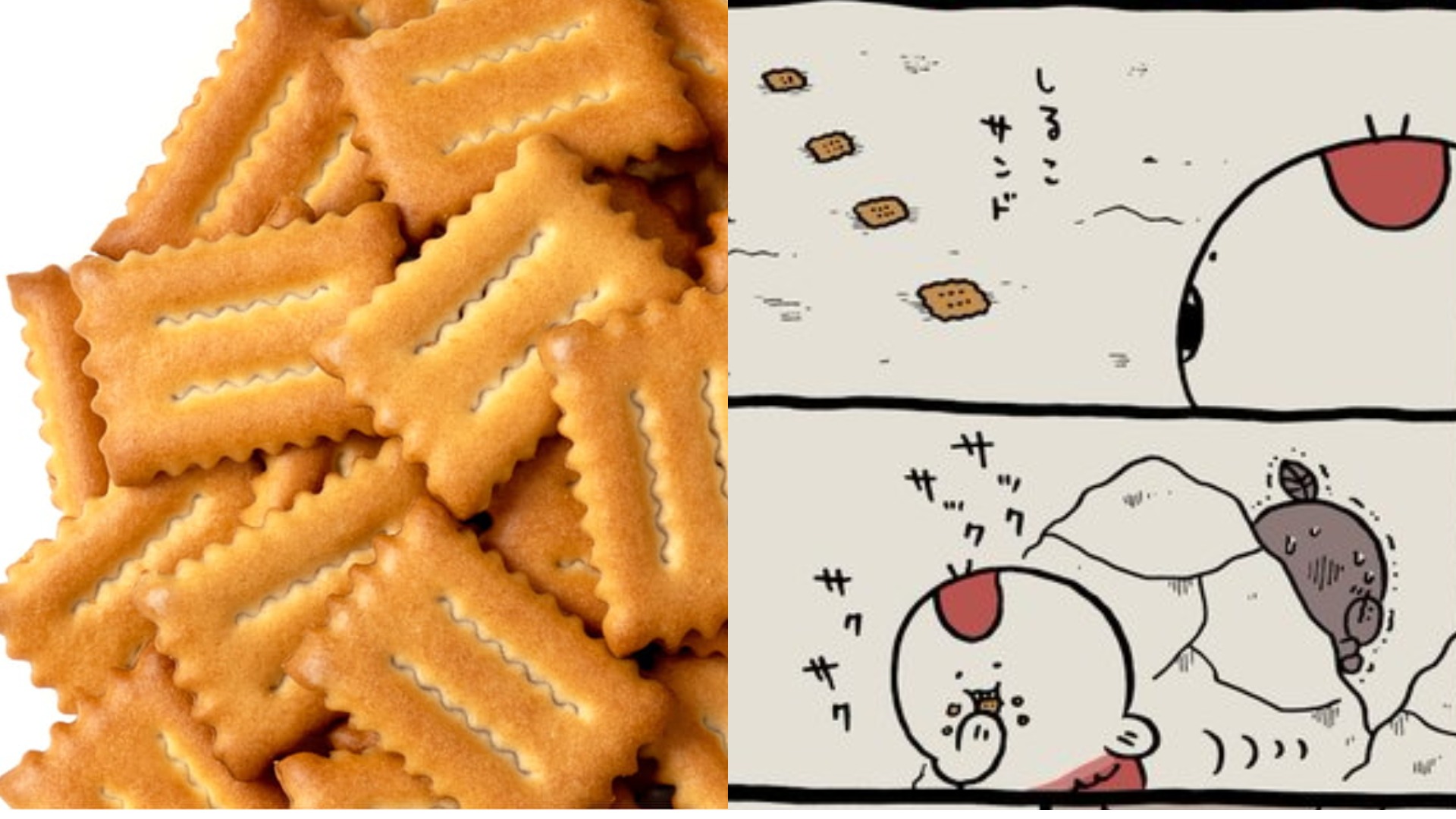 吉伊卡哇效應！神秘的點心「紅豆夾心餅乾」衝上流行趨勢，背後竟隱藏恐怖故事？