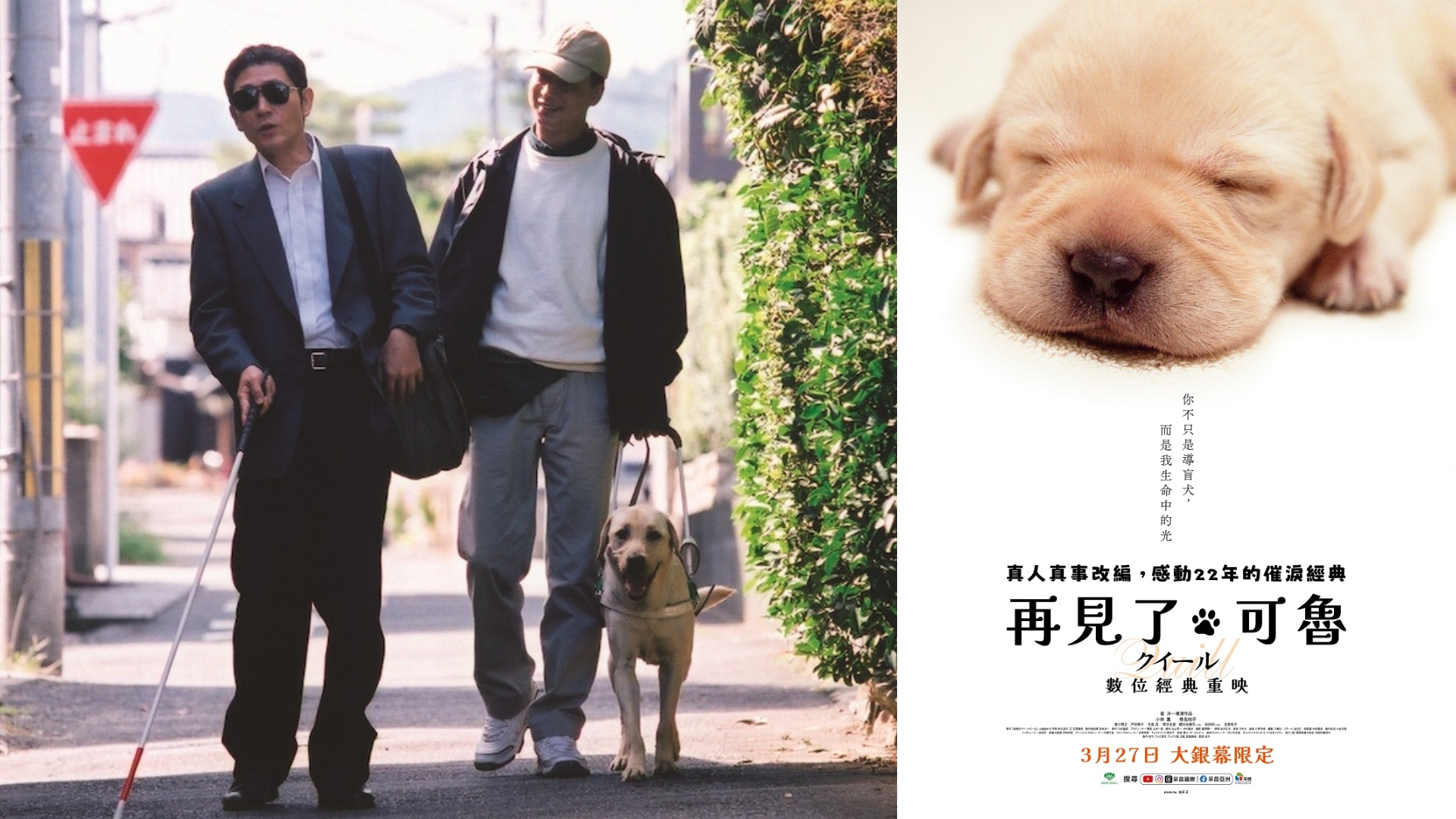 經典催淚日本電影《再見了，可魯：數位經典重映》睽違20年 3月27日獻映