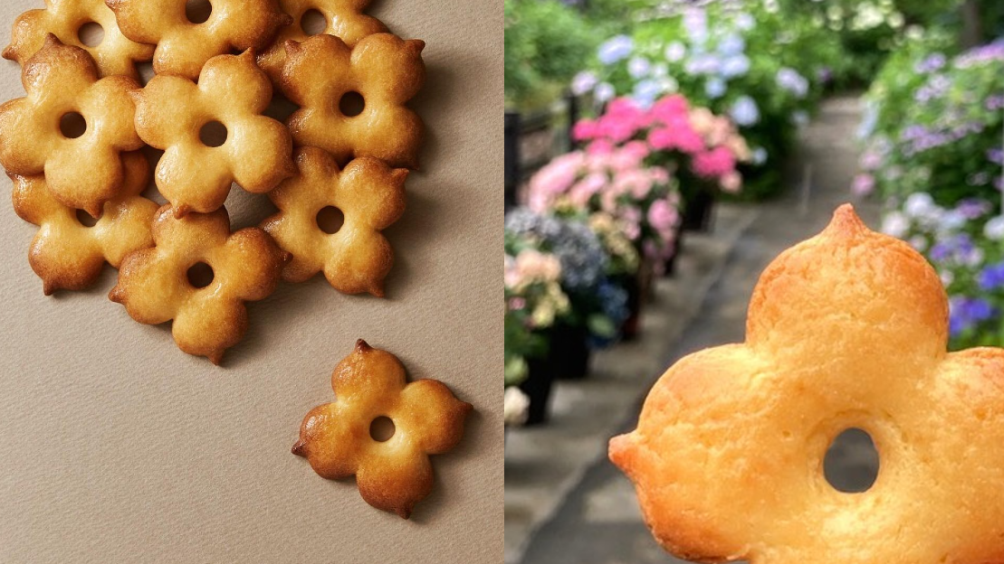 必買「鎌倉New German」紫陽花餅乾、卡士達蛋糕當伴手禮！老字號新生延續經典美味