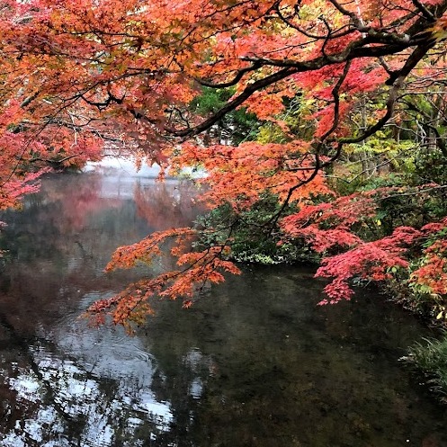 日本OL心中第一名的旅遊勝地!九州溫泉鄉由布院一日遊行程推薦