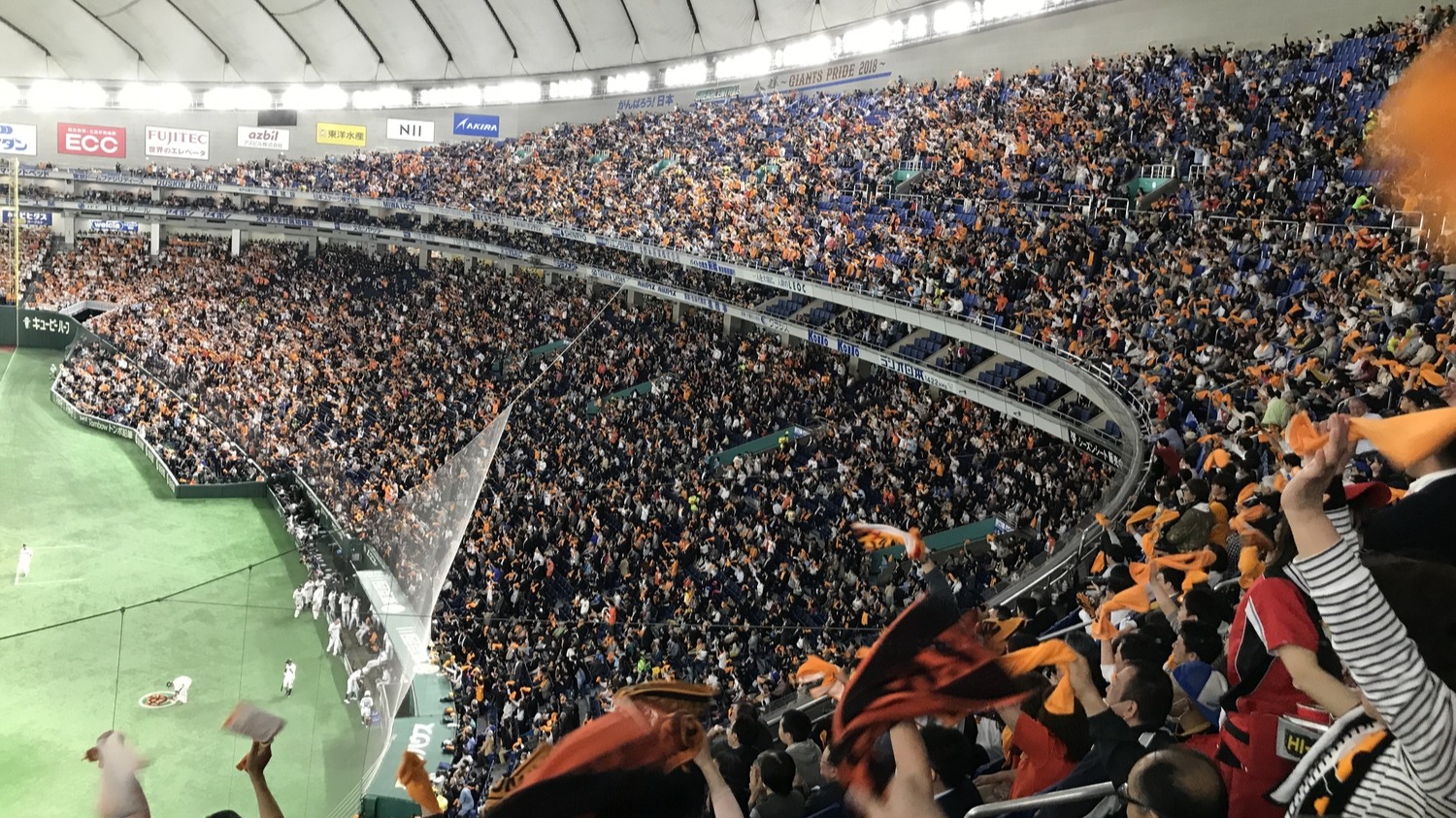 能看到台灣選手在日本同場較勁！帶你看今年在日本各隊伍打拚的台灣英雄們