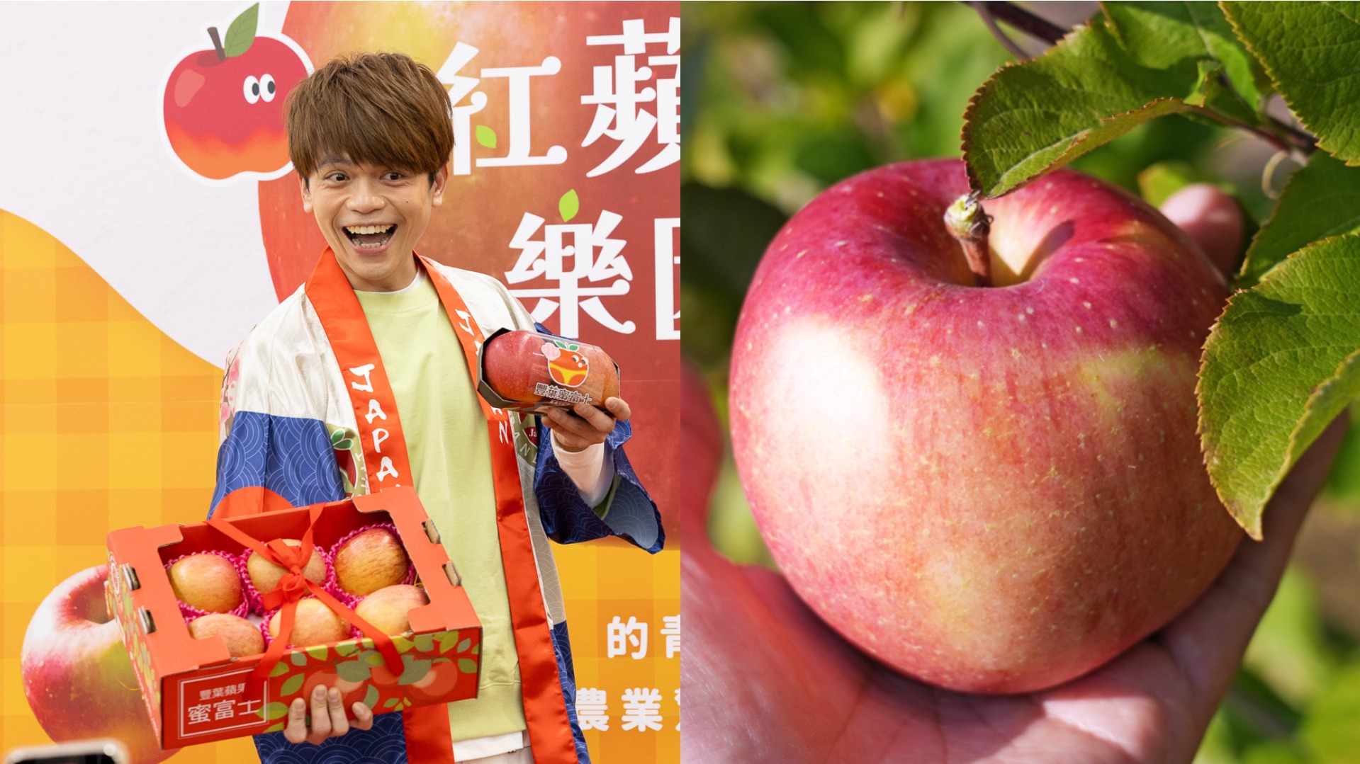 日本青森高蜜度「豐葉蘋果」家樂福登場！連蔡阿嘎吃完都被圈粉的秘密栽種工法是？