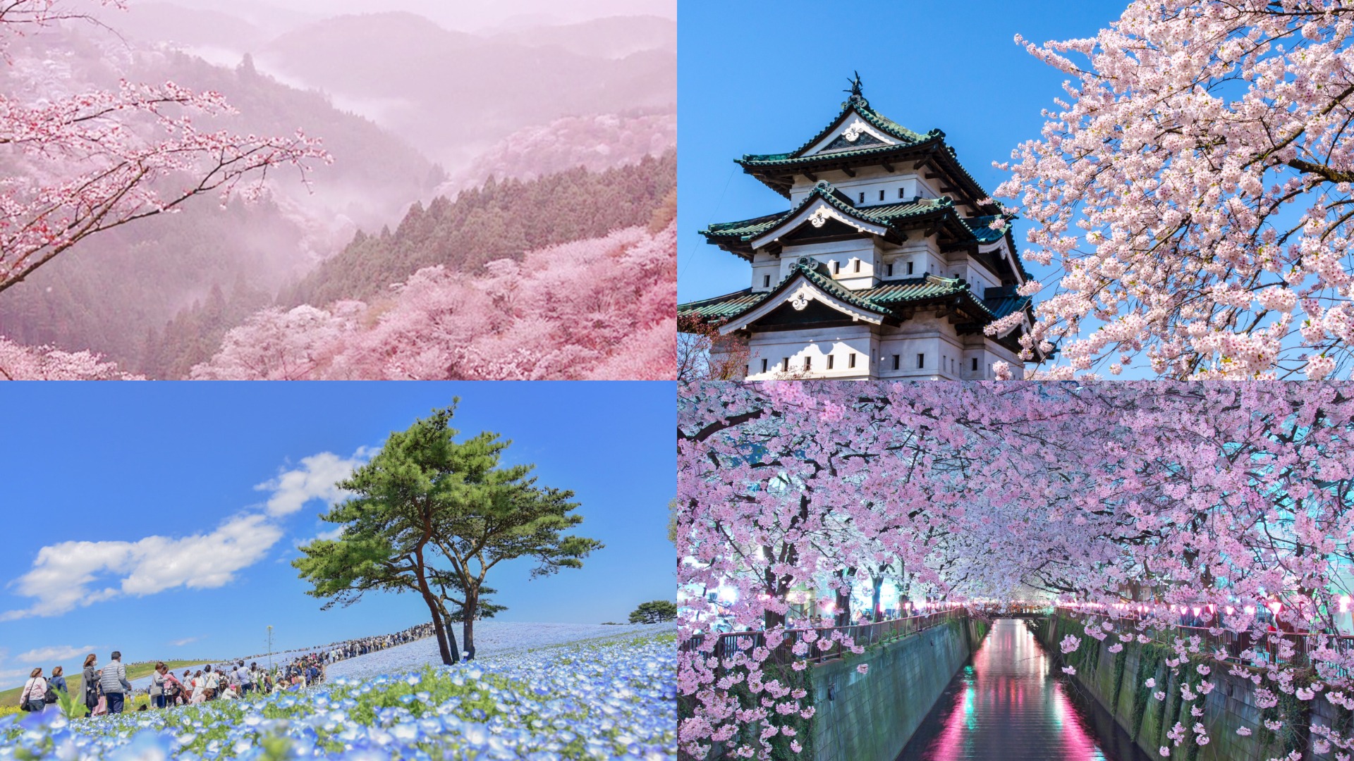 日本四月景點十選，讓我們一起體驗春意盎然的日本吧！