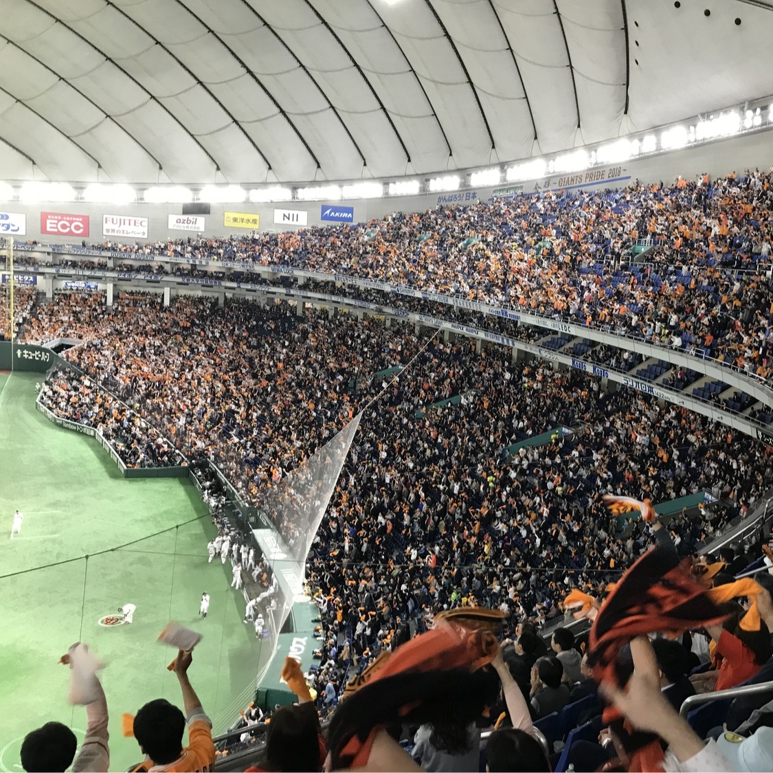 能看到台灣選手在日本同場較勁！帶你看今年在日本各隊伍打拚的台灣英雄們