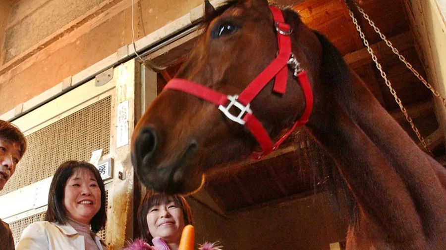 沒有贏過任何一場比賽卻大受歡迎？日本賽馬「春烏菈菈」的傳奇一生