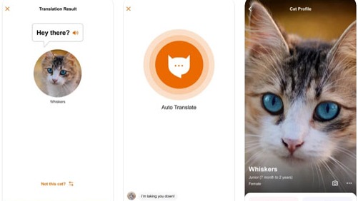 推特話題「MeowTalk貓語翻譯機」想知道主子在說什麼的貓奴一定要下載！