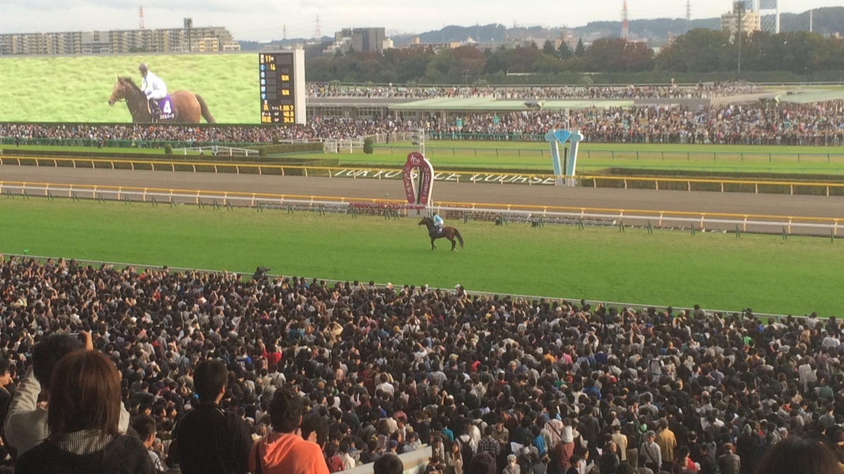 2025年關東賽馬場新手攻略！推薦馬場、購票手把手教起