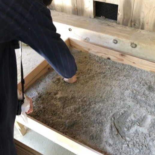 來島根縣出雲大社求庇護要挖砂？稻佐之濱取神砂求御守教學