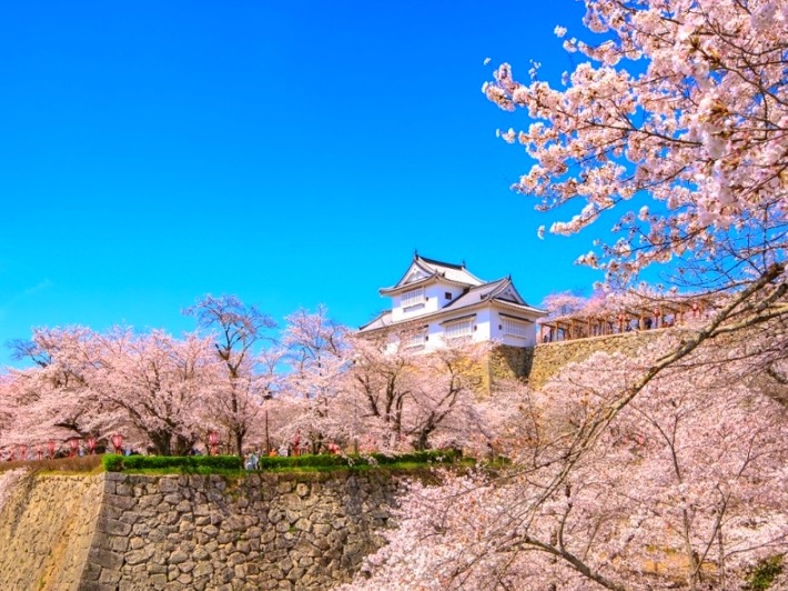 虎航高雄直飛日本岡山！「桃太郎的故鄉 岡山“心”發現in高雄」抽來回機票，感受岡山美食、好禮、櫻花情報與體驗活動