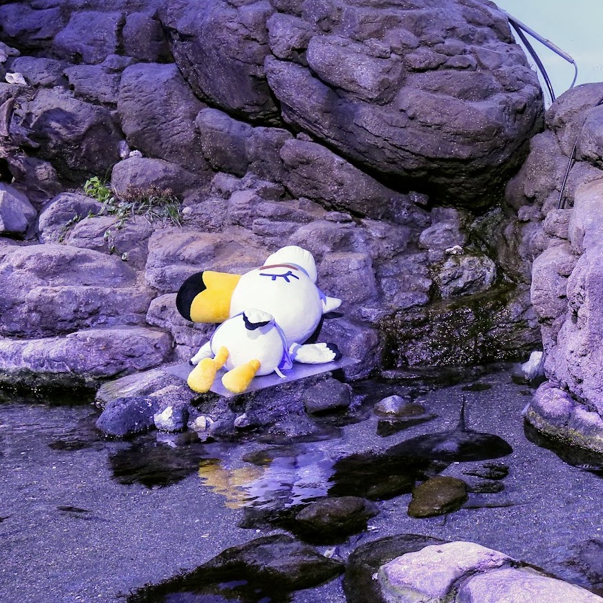 集合啦！動物森友會水族館化身實境  橫濱八景島海島樂園x動森聯名夏日海洋生物展