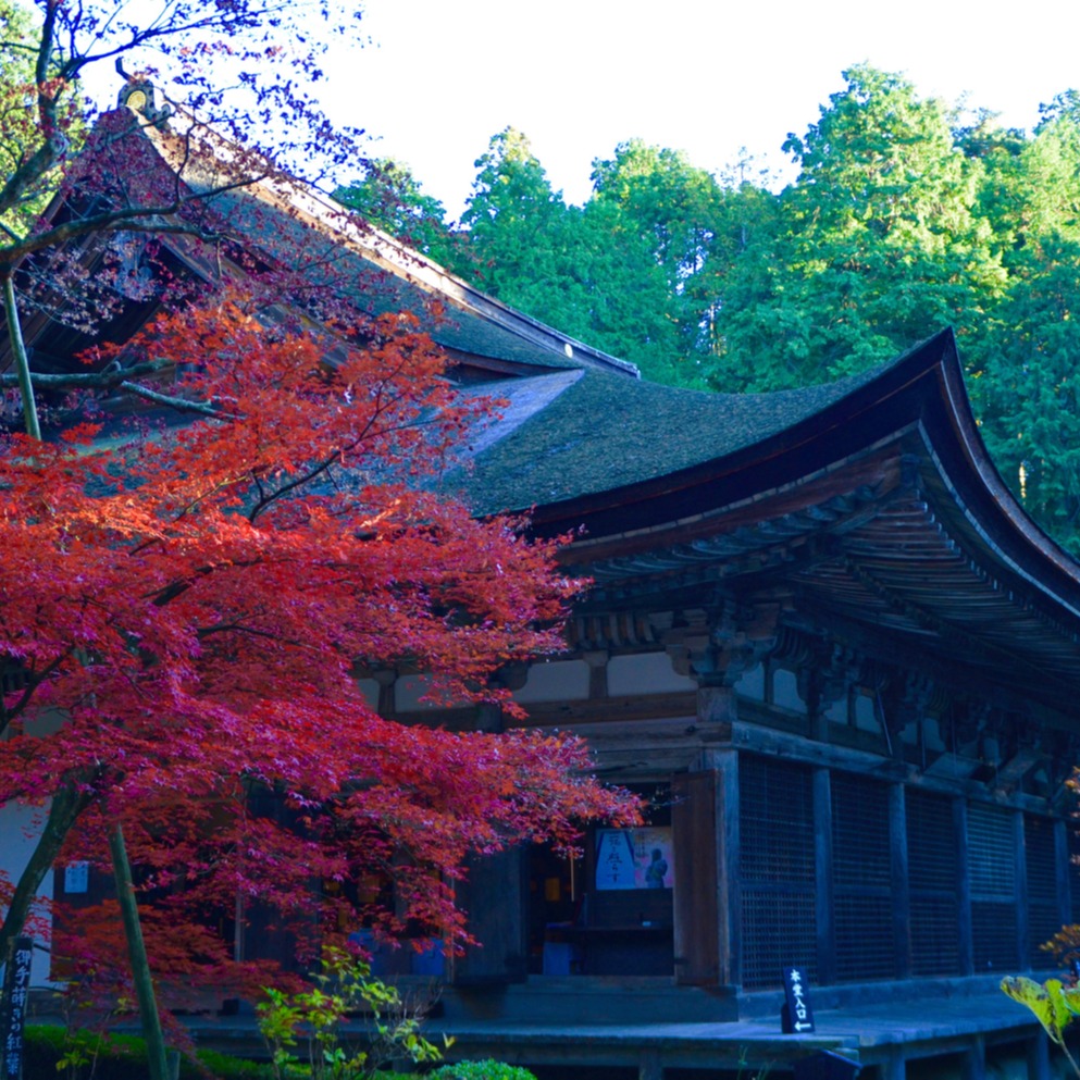 大自然派必見！滋賀縣必去──琵琶湖「湖東三山」 鬱鬱蔥蔥！四季來玩都能欣賞絕景