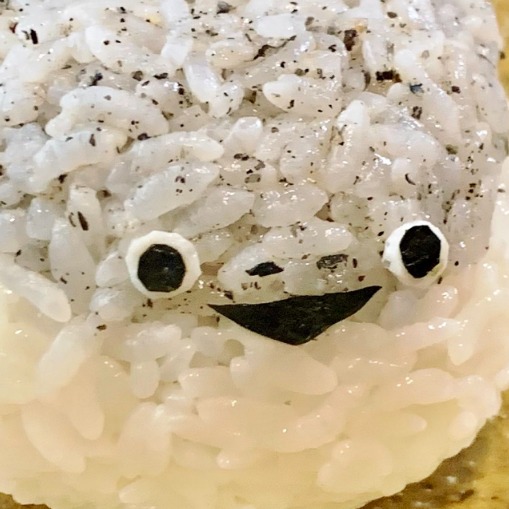 席捲全日本推特超傻憨人氣古老生物誕生！薩卡班甲魚超人氣你看過了嗎？