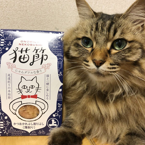 誰說伴手禮只能送人類?廣島必買伴手禮「貓節」柴魚片,讓寵物與奴才一起享受!