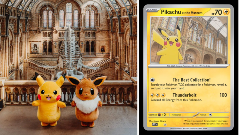 倫敦自然歷史博物館 x 寶可夢「Pokécology 」活動好萌！皮卡丘卡特典卡太可愛