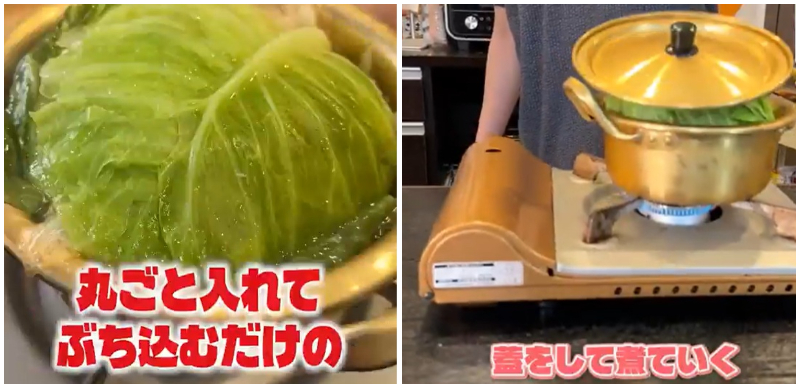 「Ryuji，我相信你！」日本網友超級歪樓「鹽味高麗菜雞肉鍋」食譜挑戰，流行到起承轉蛤