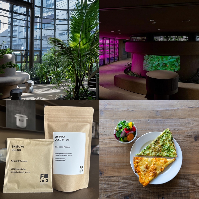 東京澀谷植物園中心咖啡廳介紹!讓植物來治癒下班後身心俱疲的你