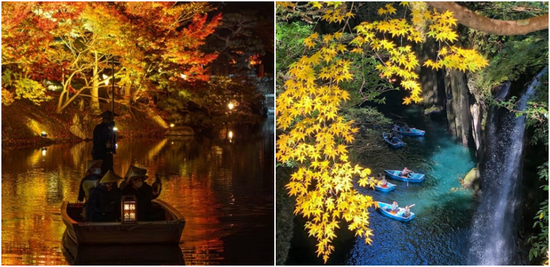 現在還來得及看紅葉！十一月十二月就去四國九州吧