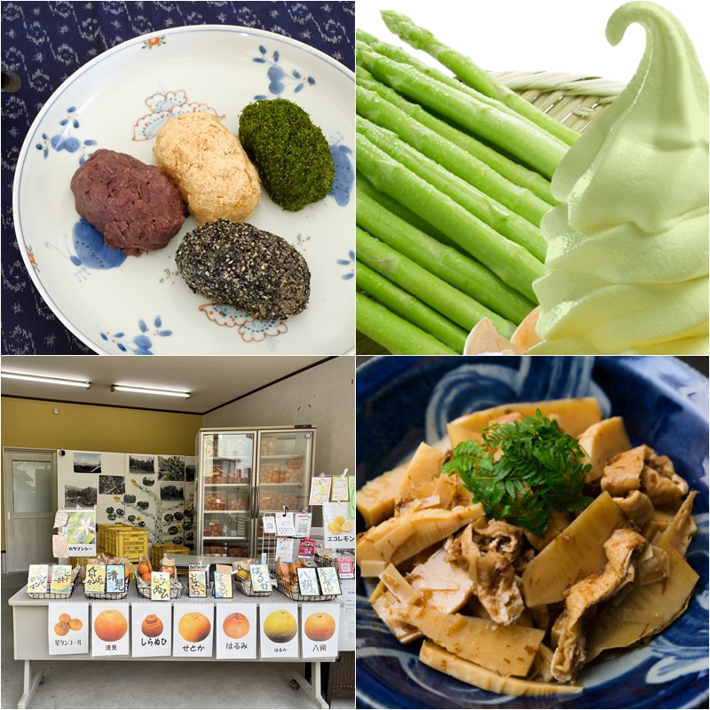 日本3月要吃什麼？吃吃看象徵季節轉換的「牡丹餅」吧！