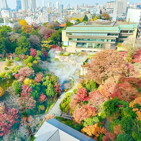 不用到處追楓，在飯店就能坐覽紅葉美景！日本關東秋季夢幻住宿10選