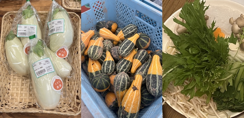 去日本該吃什麼當季蔬菜最對？蔬菜月曆讓你知道幾月該吃什麼蔬菜最鮮甜