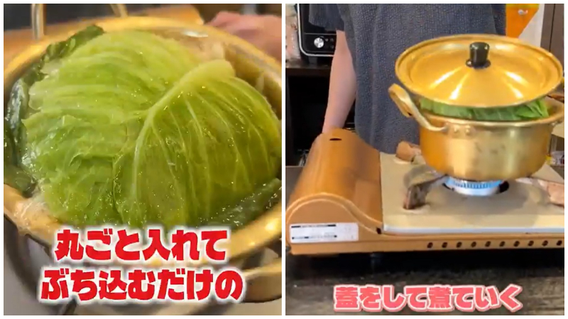 「Ryuji，我相信你！」日本網友超級歪樓「鹽味高麗菜雞肉鍋」食譜挑戰，流行到起承轉蛤