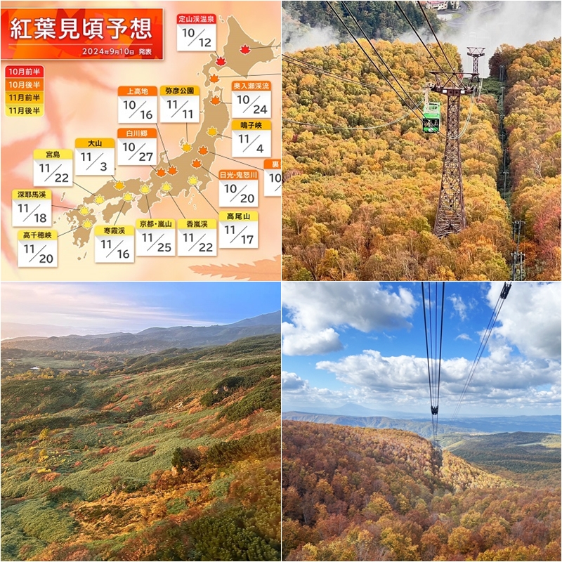 北海道、東北紅葉超早開跑！2025年9月～10月行程規劃起來