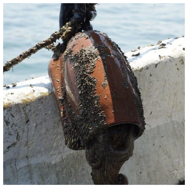 令人心跳加速的「章魚壺猜猜樂」遊戲，在家也能體驗野釣章魚！