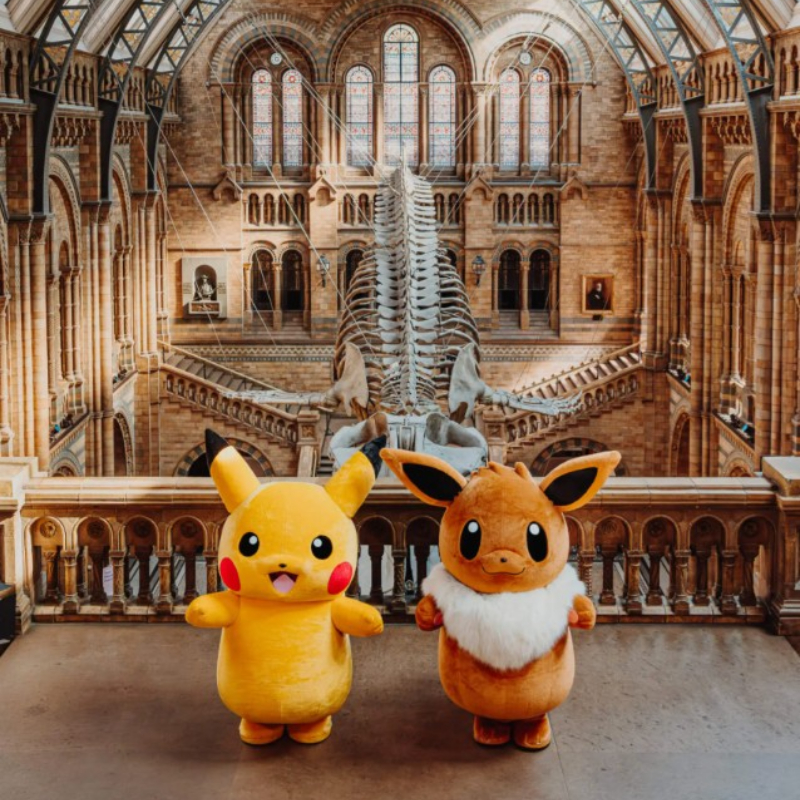 倫敦自然歷史博物館 x 寶可夢「Pokécology 」活動好萌！皮卡丘卡特典卡太可愛