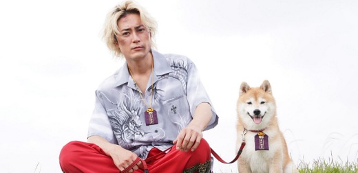 黃金三法則「友情、努力、勝利」看這部日劇！《難破MG5》 熱血迎向完結篇 柴犬演員殺青竟獲間宮祥太朗送「大」禮