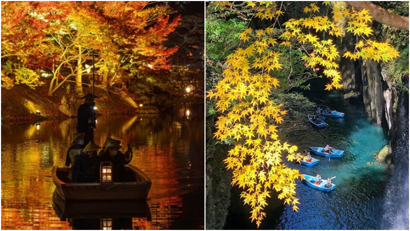 現在還來得及看紅葉!十一月十二月就去四國九州吧