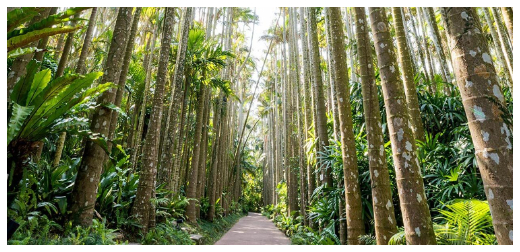 沖繩必去景點「美麗海水族館」，搭配巴士一日遊不會自駕也能玩遍沖繩！
